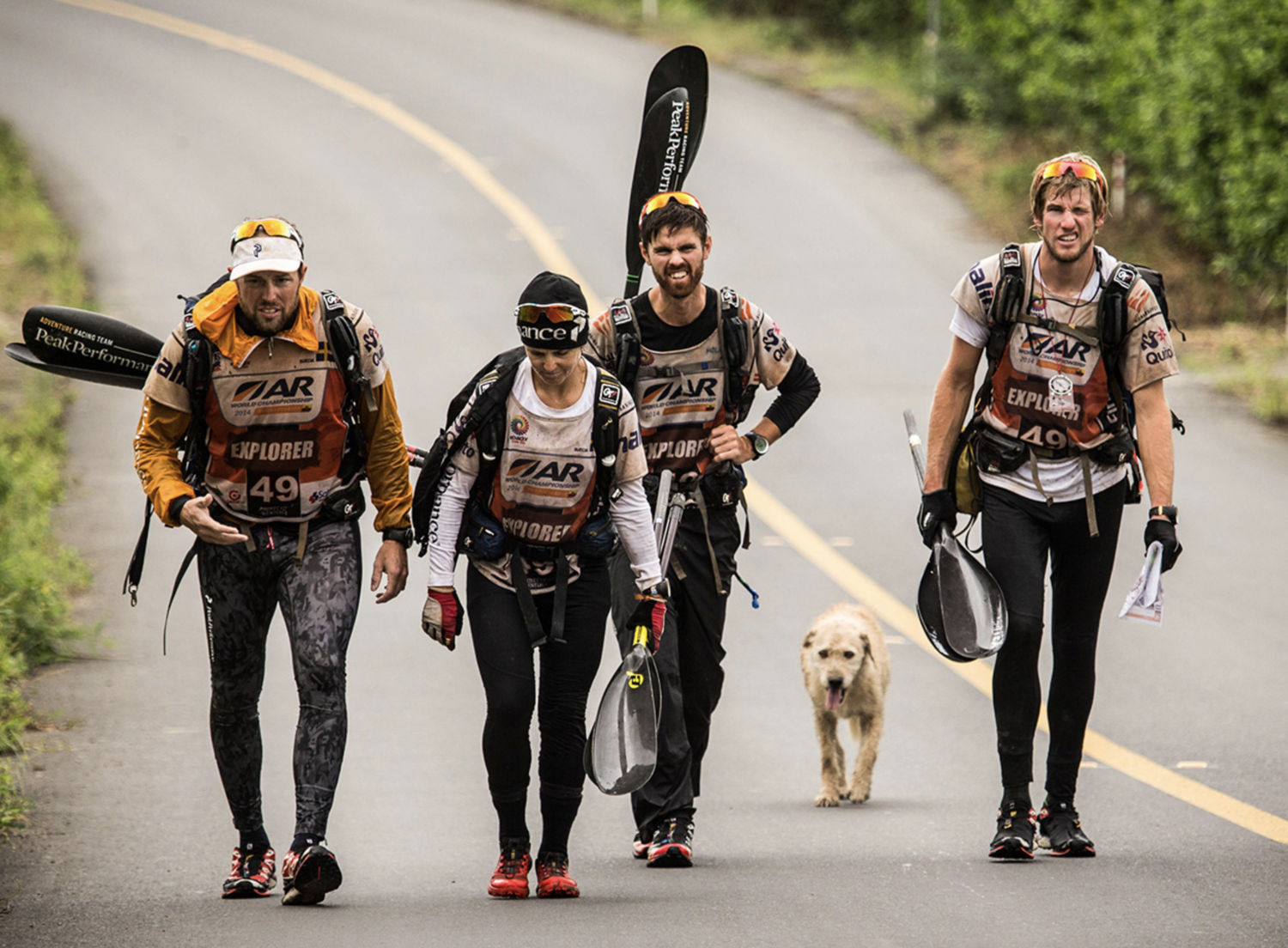 Arthur. The Street Dog from Ecuador that Finished One of the Planet's Most Difficult Adventure Races and Won the Heart of the World