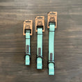 Load image into Gallery viewer, Wilderdog waterproof seafoam green dog collar with black buckle and D-ring
