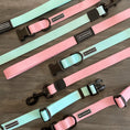 Load image into Gallery viewer, Wilderdog waterproof seafoam green dog collars in small, medium, and large sizes with eco-friendly packaging
