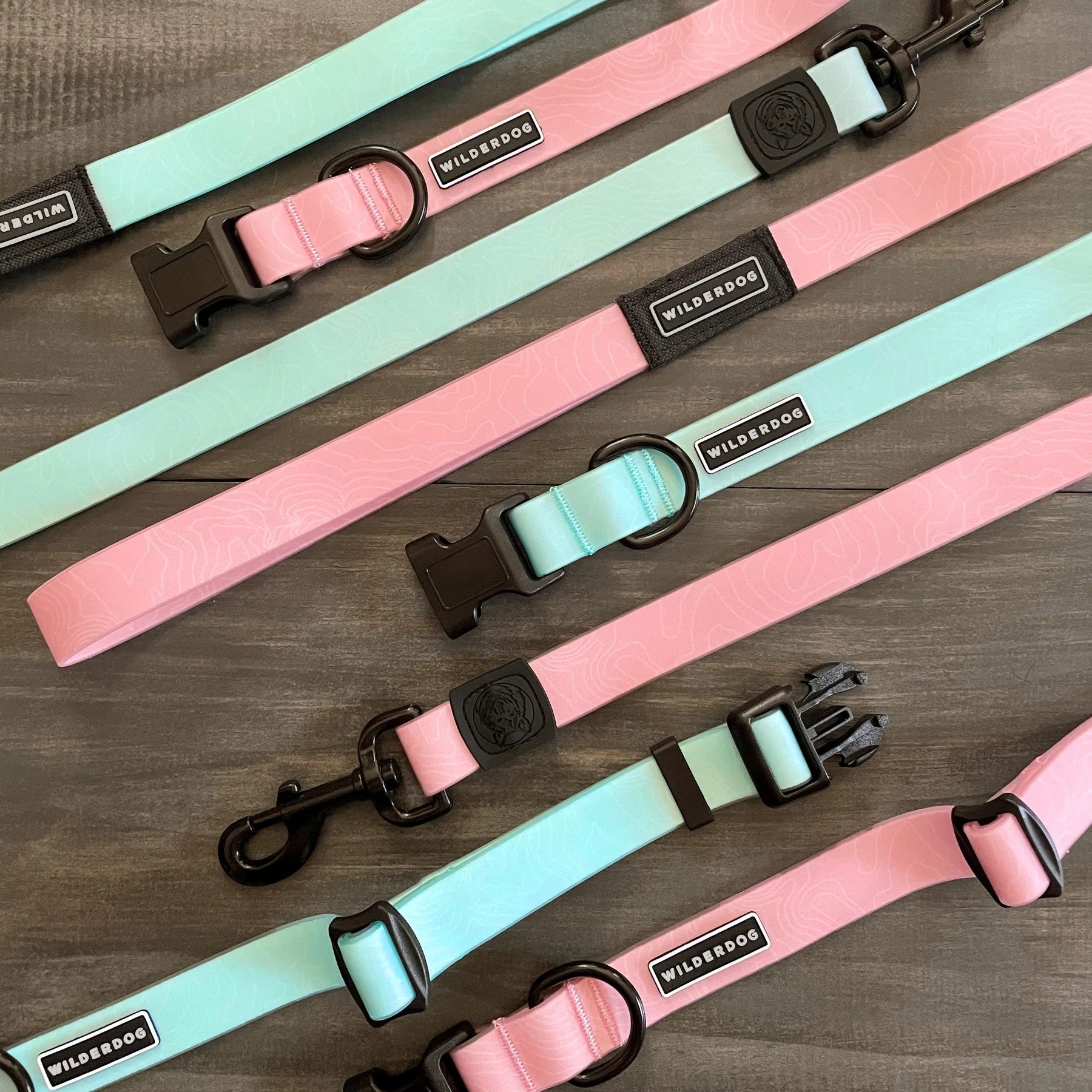 Wilderdog waterproof seafoam green dog collars in small, medium, and large sizes with eco-friendly packaging