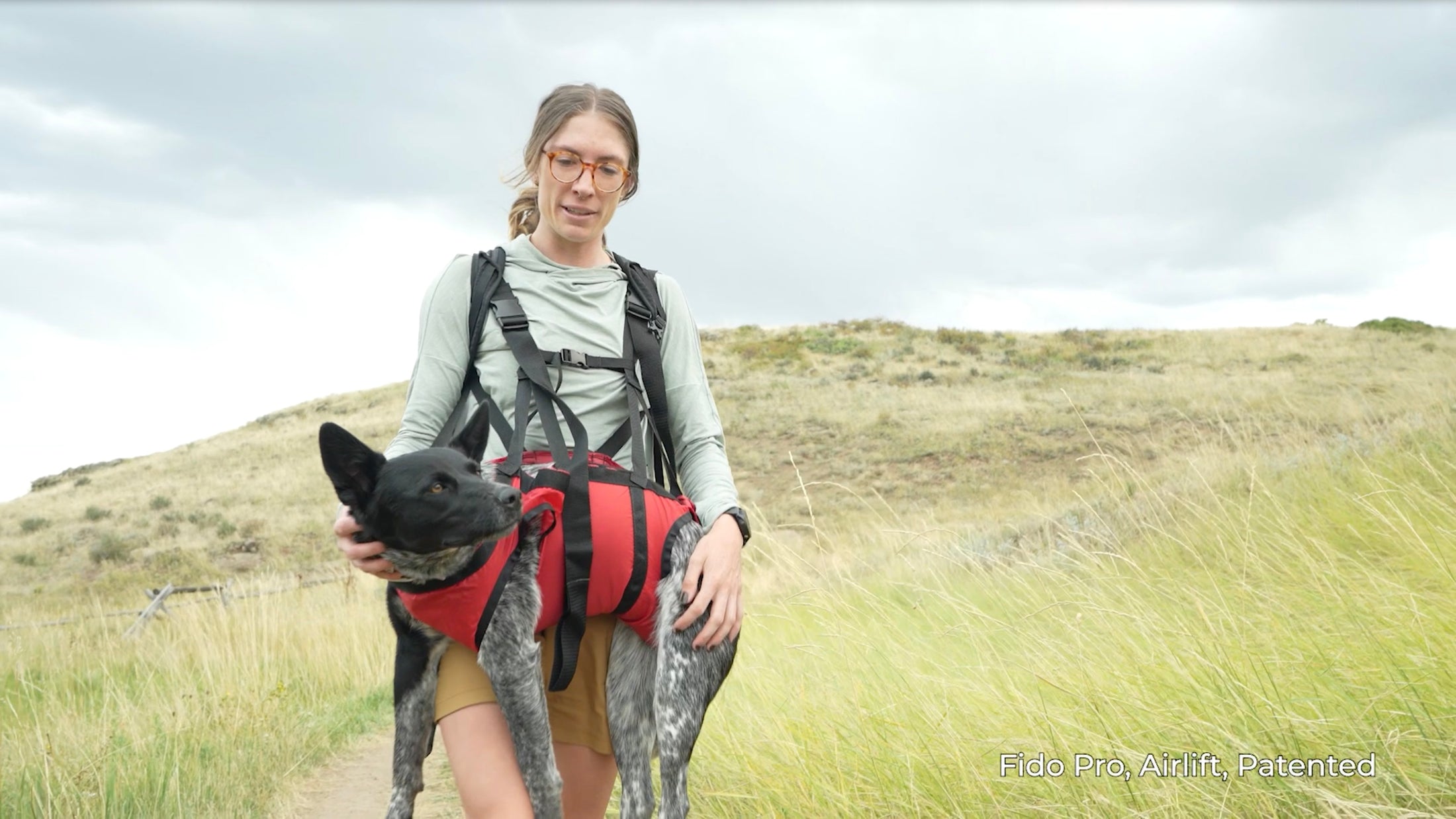 AIRLIFT K9 RESCUE SLING